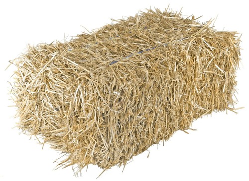 Medium straw bale shady - straw,
