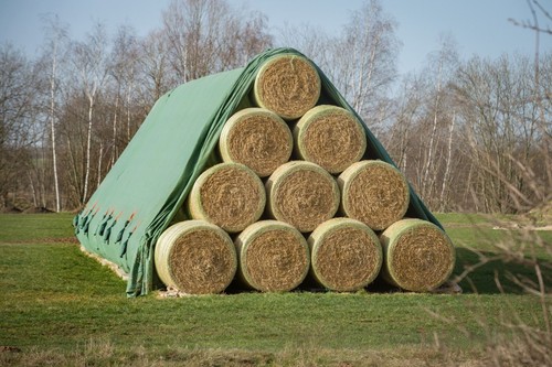 Toptex crop and - hay, straw