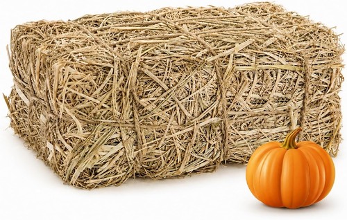 16x8x6in natural straw hay - 16x8x6in,
