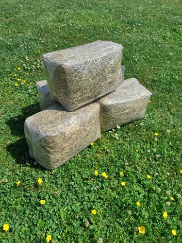 Top quality hay bale - quality,