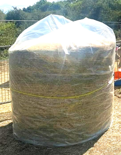5ft hay straw - 5ft, big