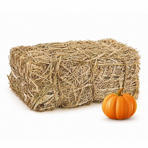 Pjt decorative hay bale straw - decorative,