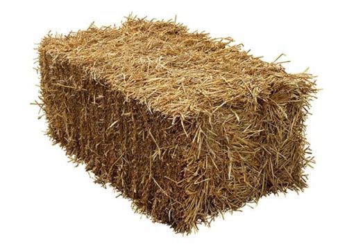 Handy size barley - handy, straw