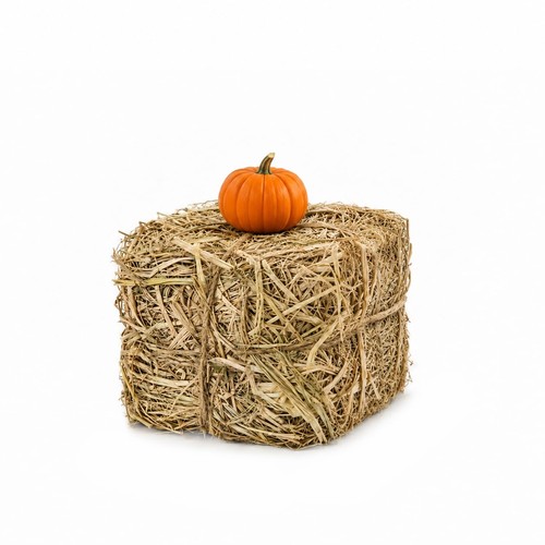 Decorative hay bale 6 - decorative, bale,