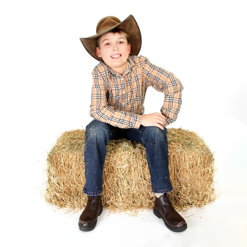 Realistic large hay bale - realistic,