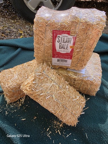Mini straw hay bale - 6,