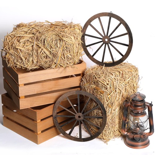 Pack straw hay bale - 6,