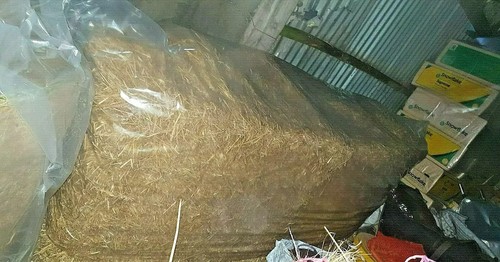 8ft heston hay - 2,